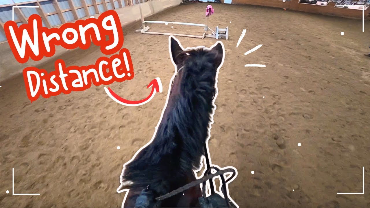 I Second-Guessed the Distance… Big Mistake 🙈 | Riding Lesson Vlog