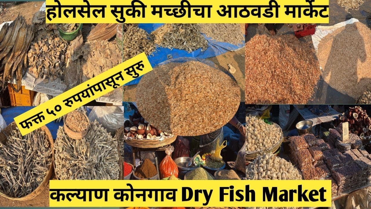 मंगळवार होलसेल सुकी मच्छीचा आठवडी मार्केट कल्याण कोनगाव | फक्त ५० रुपयांपासून सुरु | Dry Fish Market