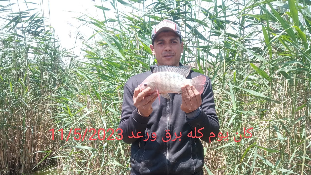 وصف الميه الغشيمه بتفصيل من اول الطريق من بره لحد الدوار الي انتا شفته في الفيديو