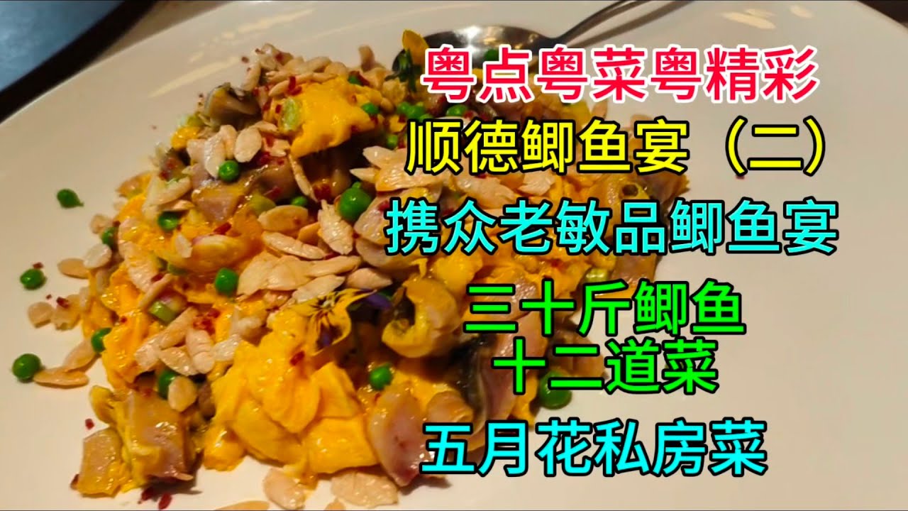 粤点粤菜粤精彩，顺德鲫鱼宴（二），携众老敏，品鲫鱼宴，三十斤鲫鱼十二道菜，五月花私房菜，粤语中字幕2025-2-22