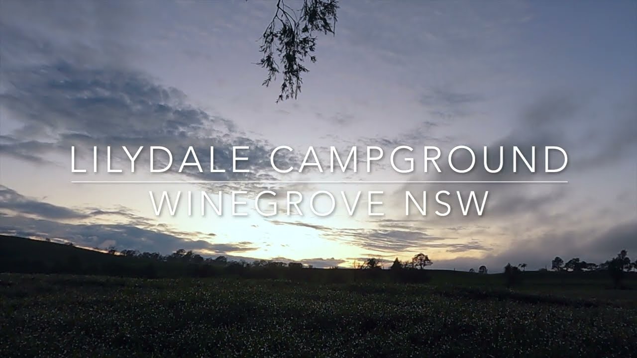 Lilydale Campgound along the Clarence River (near Grafton) NSW - Free Camp Australia