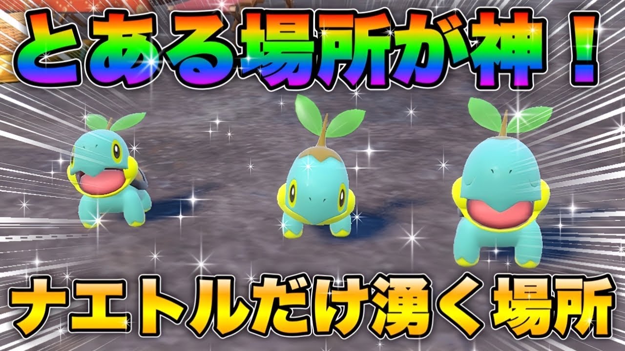 【ポケモンsv厳選】色違いナエトルの効率的な入手方法！