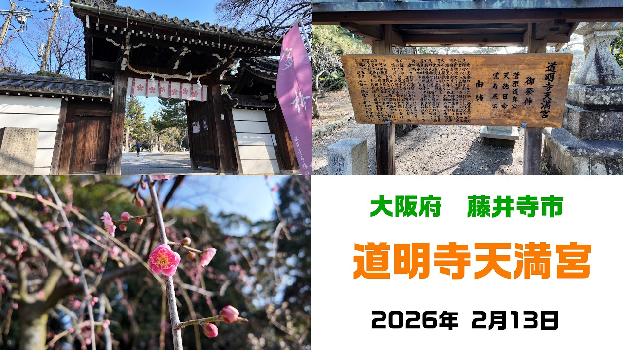 道明寺天満宮　2026年2月13日