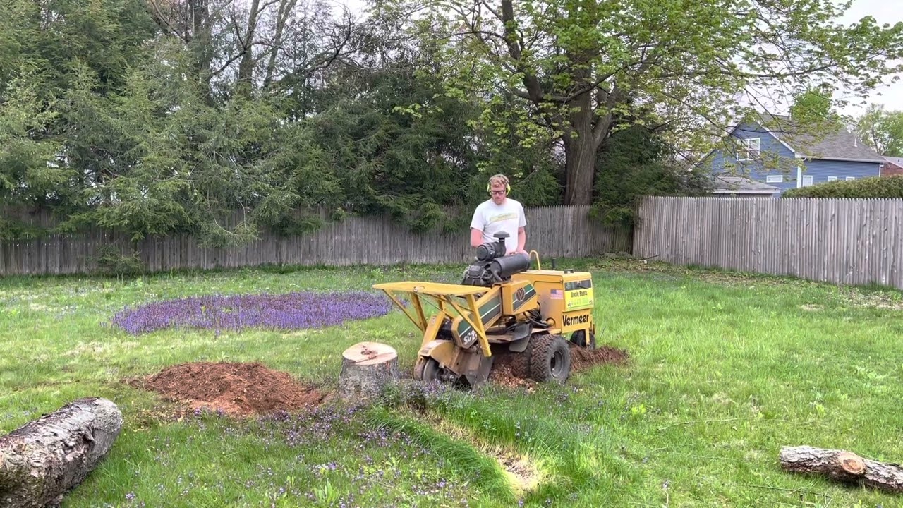 Vermeer 252 Chip Plow in action. Stump start to finish.