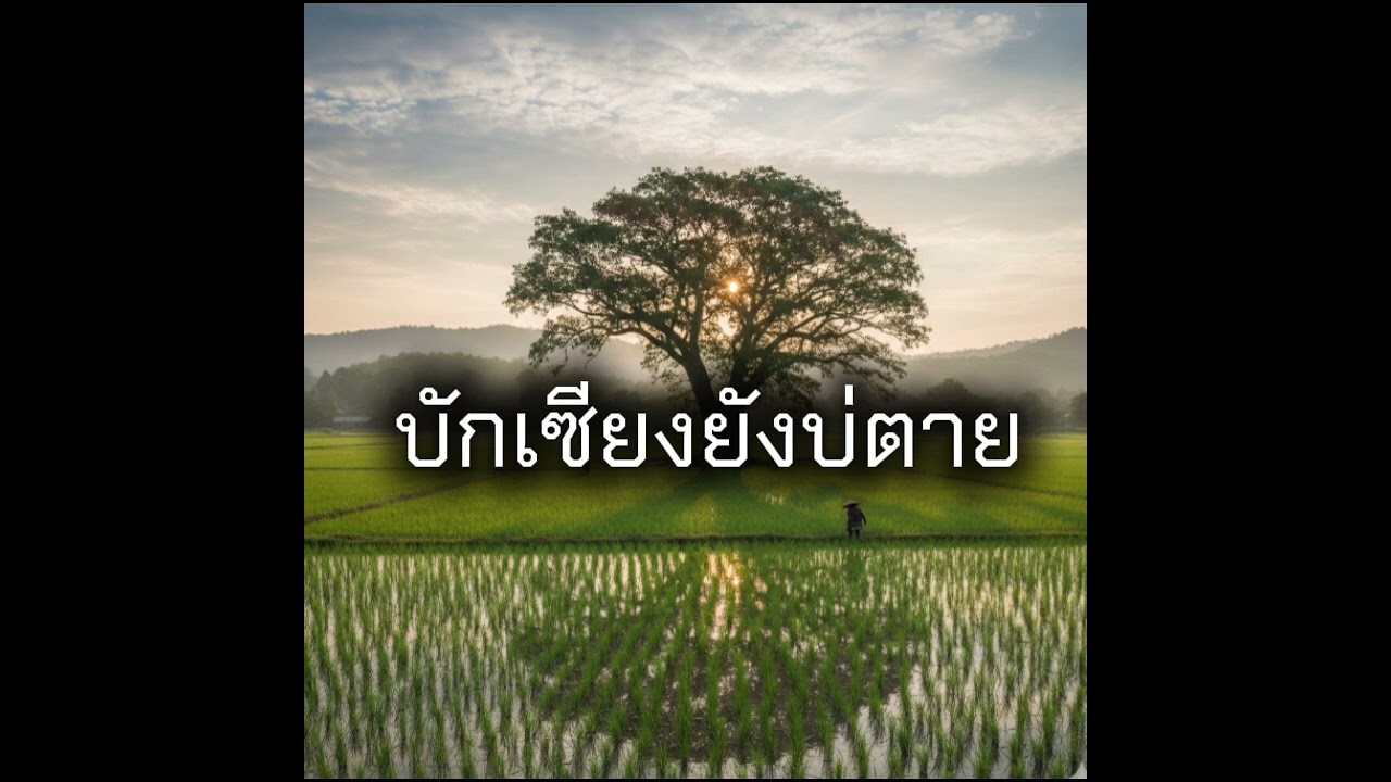 เพลง บักเซียงยังบ่ตาย #บักเซียง