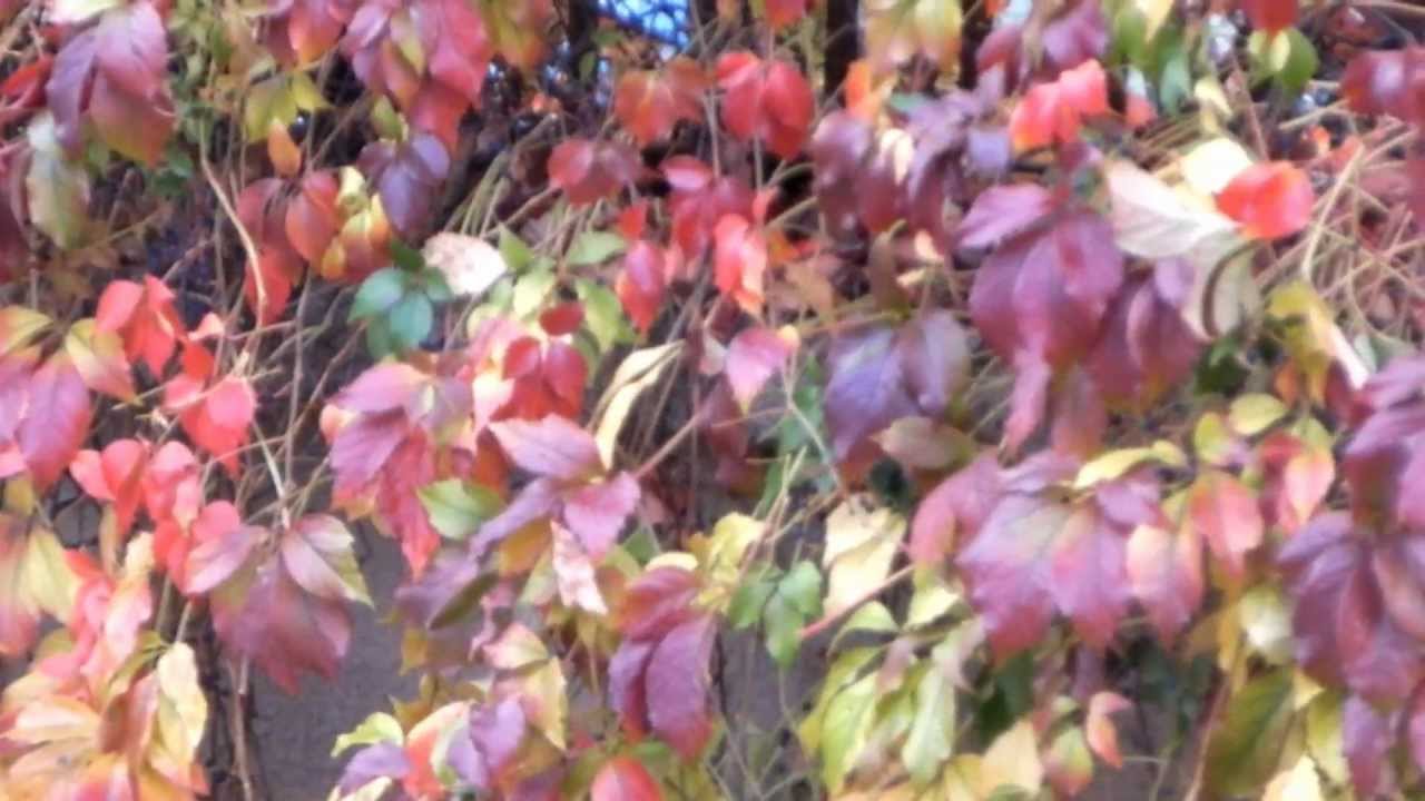 October's party by George Cooper