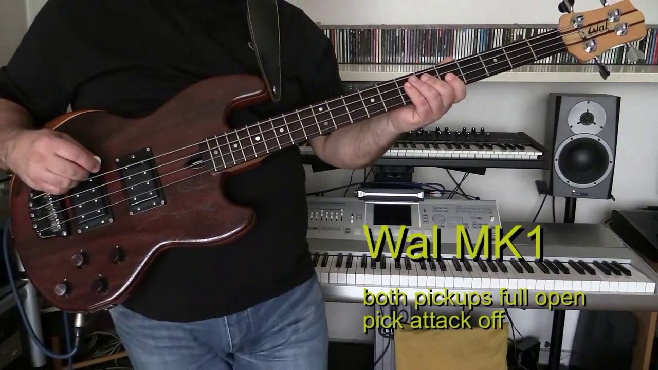 Bass Cover - Vasco Rossi - Credi Davvero (live version) - with Wal Mk1 bass