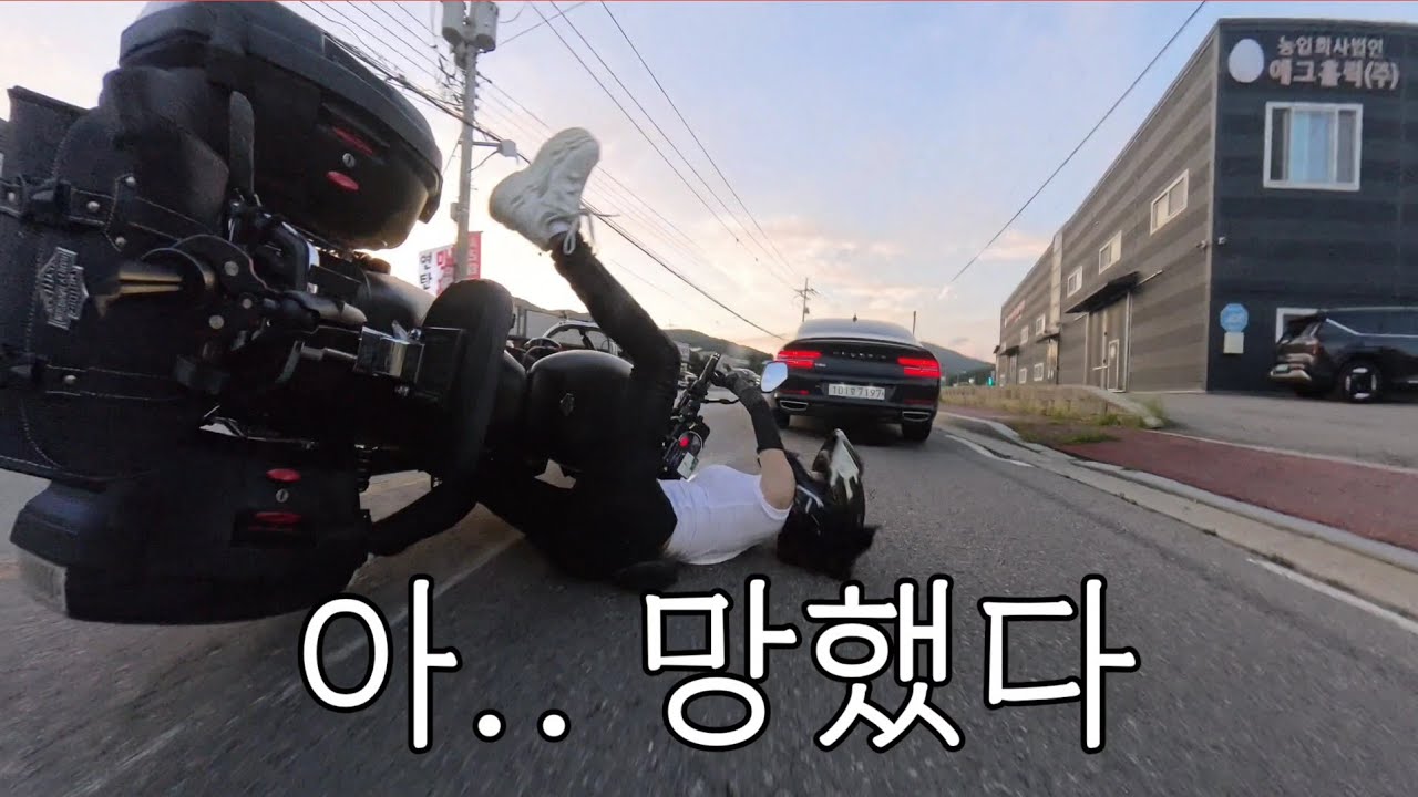 할리랑 업어치기 한 썰 푼다!!!