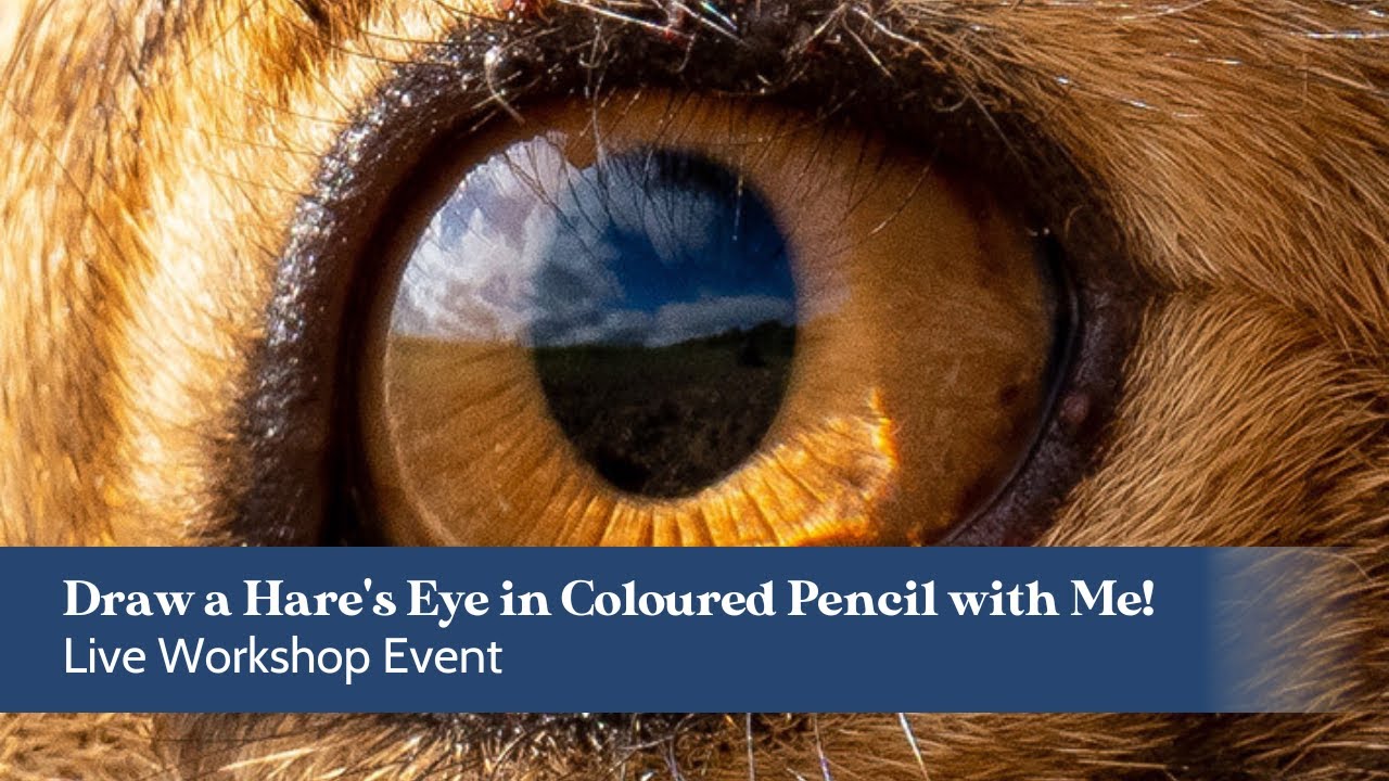 Draw a Hare's Eye in Coloured Pencil | Live Draw Along