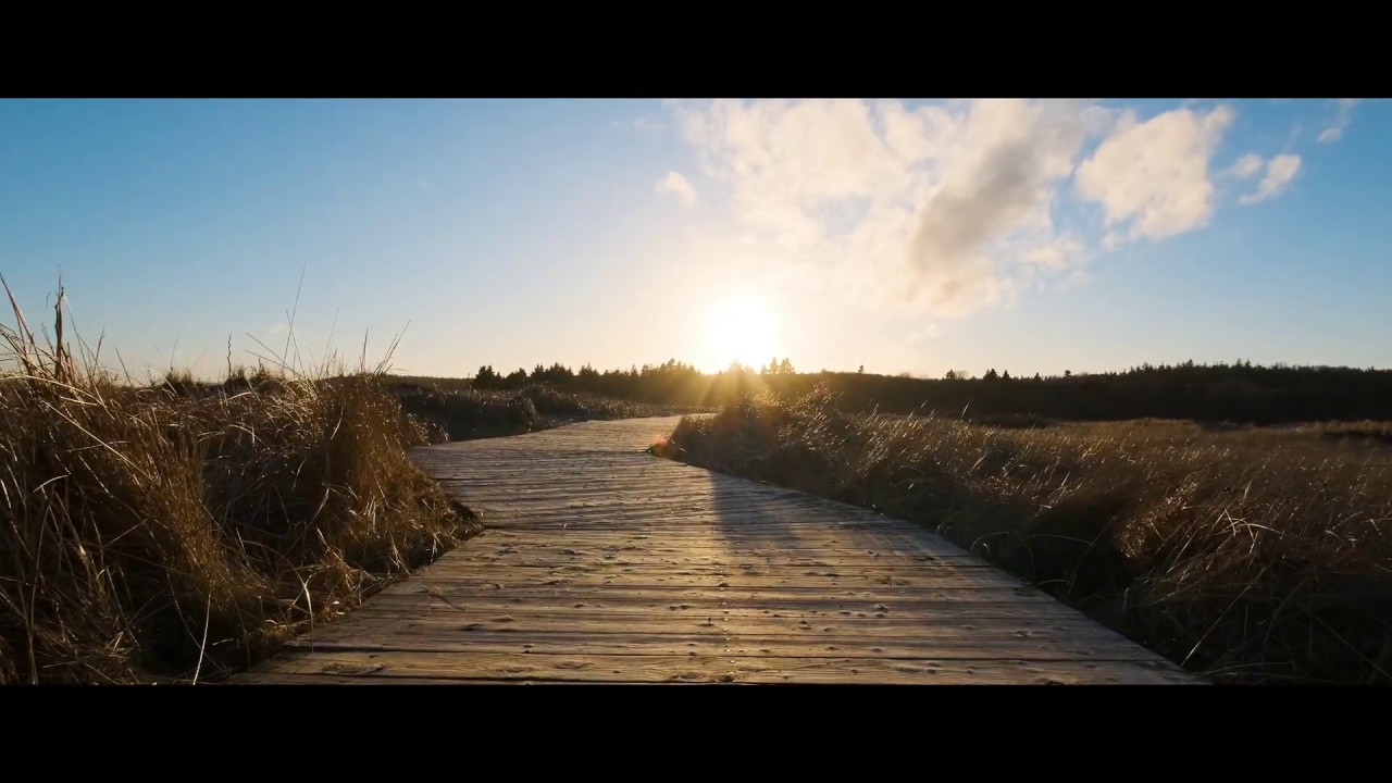 Fuji X-T3 - Eterna Beauty (DCI 4K Cinematic)