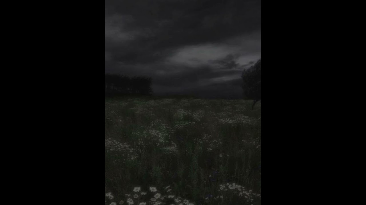 Dark Is The Night - (slowed reverb) soviet song