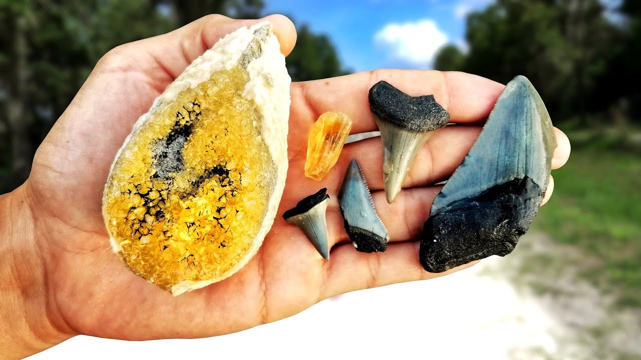 We Found Shark Teeth and Calcite Crystals on Dirt Roads in Florida | Megalodon Tooth Found!