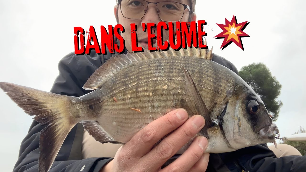 Une décision qui a tout changé 🎣