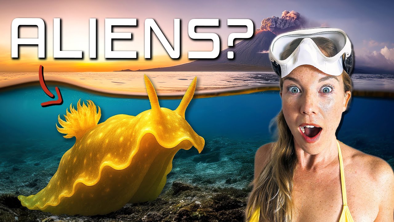 Diving for Strange Creatures in BALI (Tulamben)