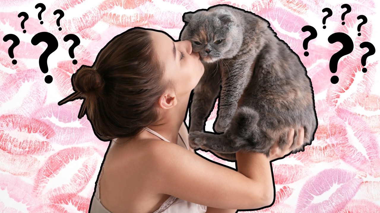 Do Cats Understand Kisses? The Truth Revealed!