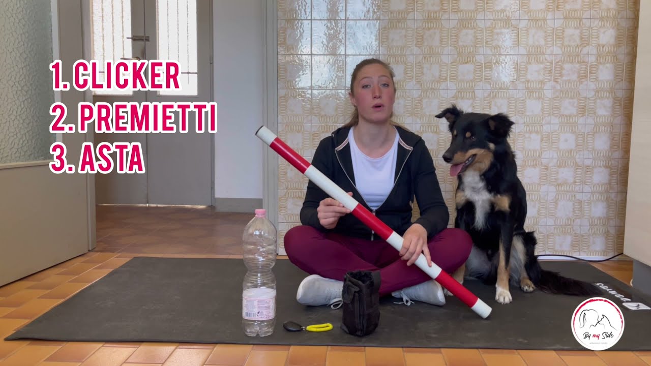 Abbraccio - come insegnarlo al mio cane #dogtricks #dogtutorial #BymySide  #hug #abbraccio