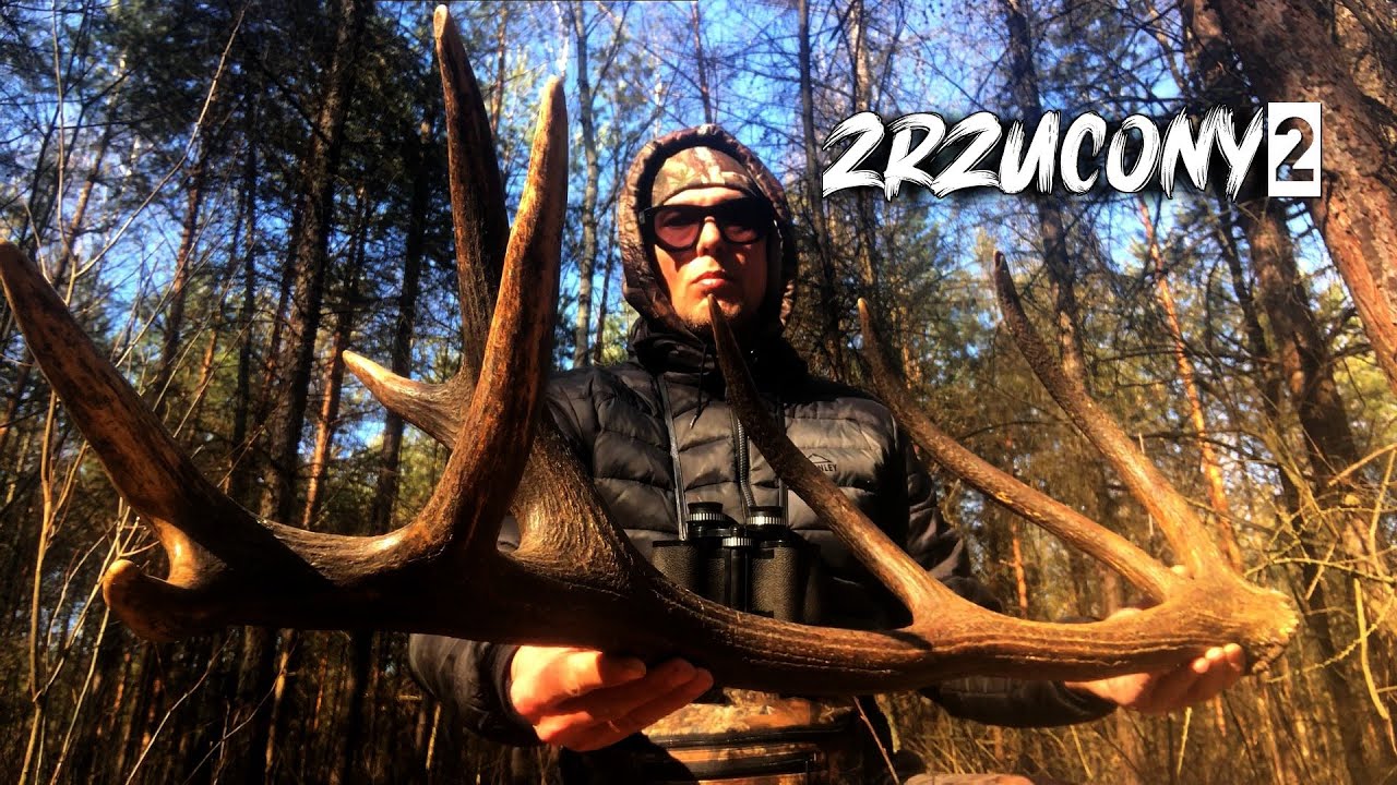 16stak 3,7kg.ZRZUCONY Sezon drugi 2025 odcinek drugi.#zrzuty#shed