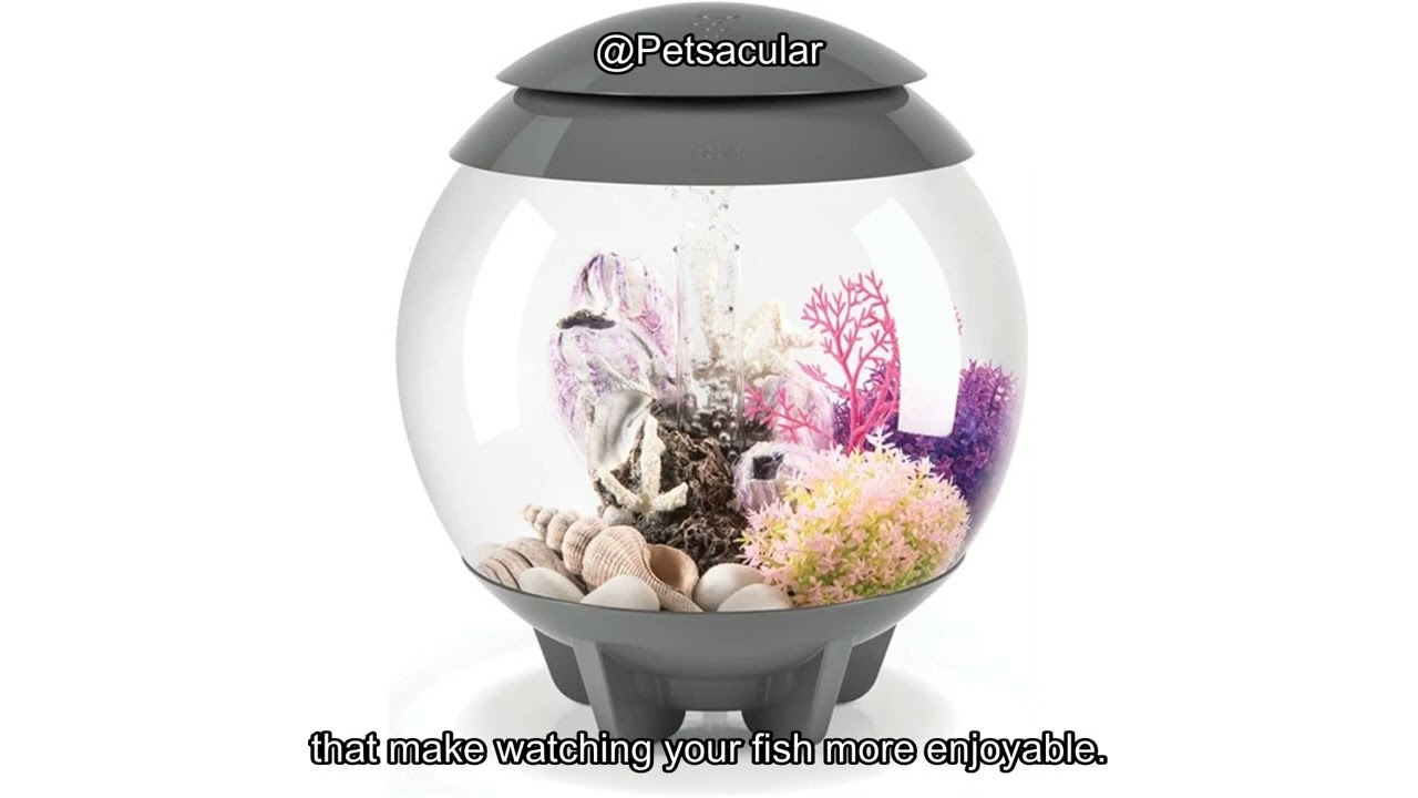 biOrb Halo 15 Aquarium Review: Is This Compact LED Fish Tank Worth Your Space and Money?