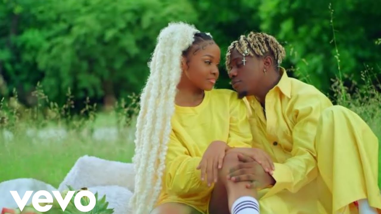 Rayvanny – Nakupenda Zaidi ( Official Lyrics Video )