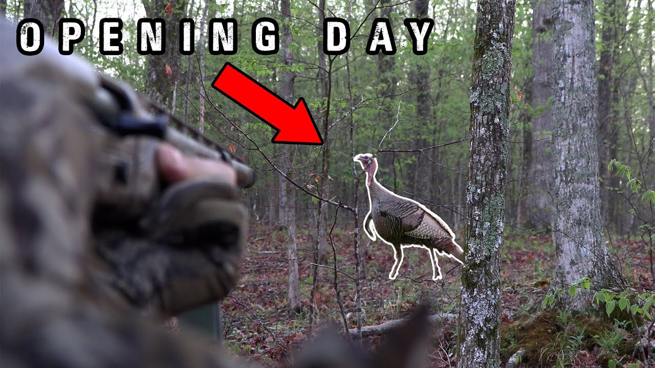 TURKEY HUNT OVER THE SHOULDER | PUBLIC LAND IN KENTUCKY