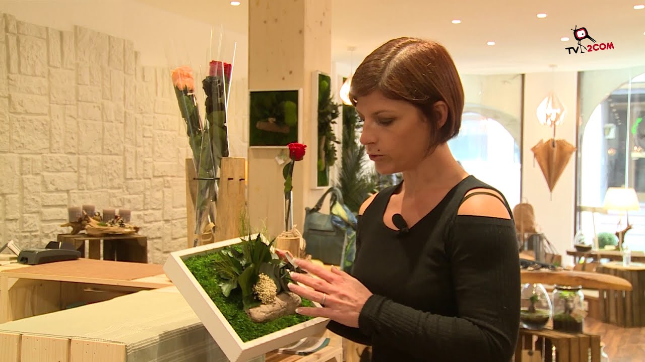 Les tableaux végétalisés de la boutique Eter'nel au centre de Sélestat