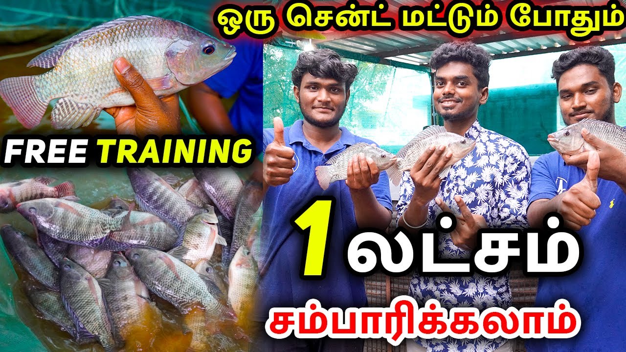 BioFloc Fish Farming Tamil | Free Training பூஜ்ஜியம் தீவன செலவில் திலேபியா மீன் வளர்ப்பு |
