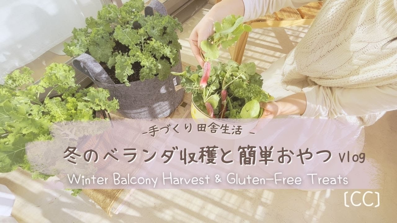 冬のベランダ家庭菜園で収穫した野菜でつくるグルテンフリーおやつ＊かぼちゃ餅とフムスの簡単レシピ｜暮らしVlog