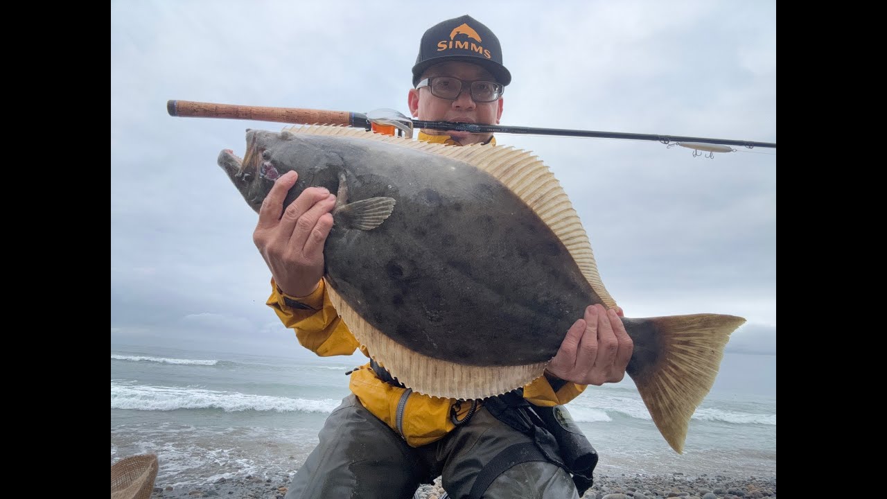 Отчет о рыбалке в Южной Калифорнии 10.10.25 #fishthesurf #surffishing #halibut #corbina