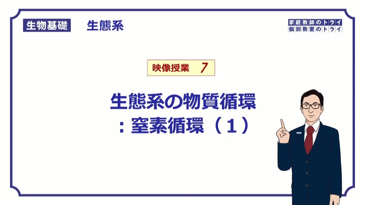 【生物基礎】　生態系7　生態系の物質循環：窒素循環（１）　（１４分）
