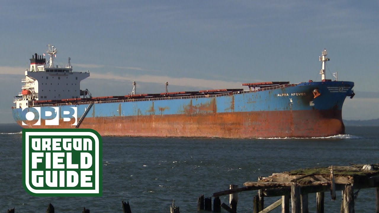 Astoria’s ‘Ship Report’ and the scoop on the mighty Columbia | Oregon Field Guide