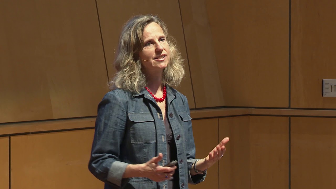 Mediate While the World Burns | Julia Menard | TEDxJIBC