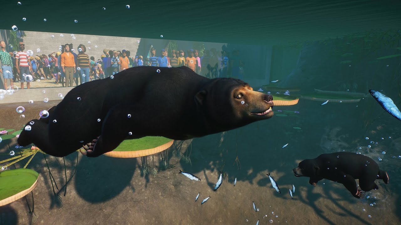 PLANET ZOO Sun Bear East Asia in Kuala Bintu Taman