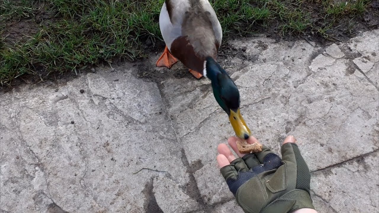 Raz na górze, raz pod górą - Milldale/Wolfscote Dale - odc.35