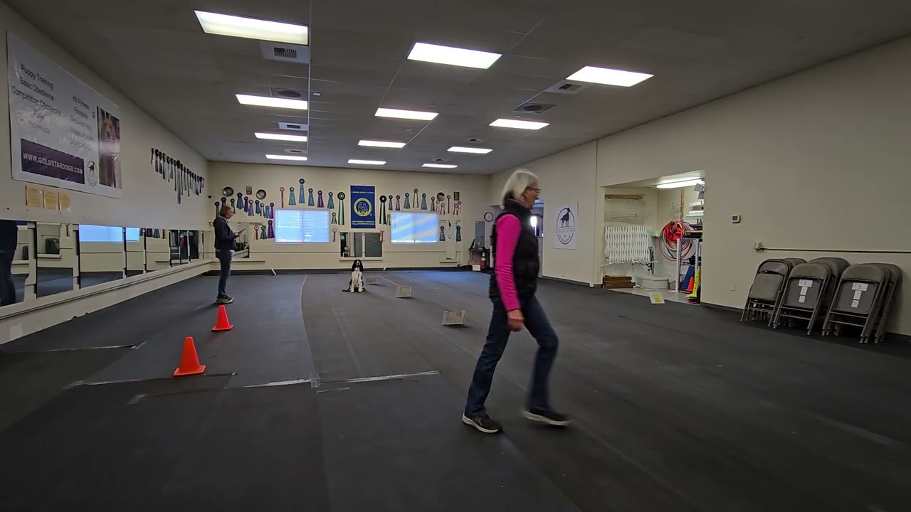 Arlo Beginner Novice Practice 01-25-26