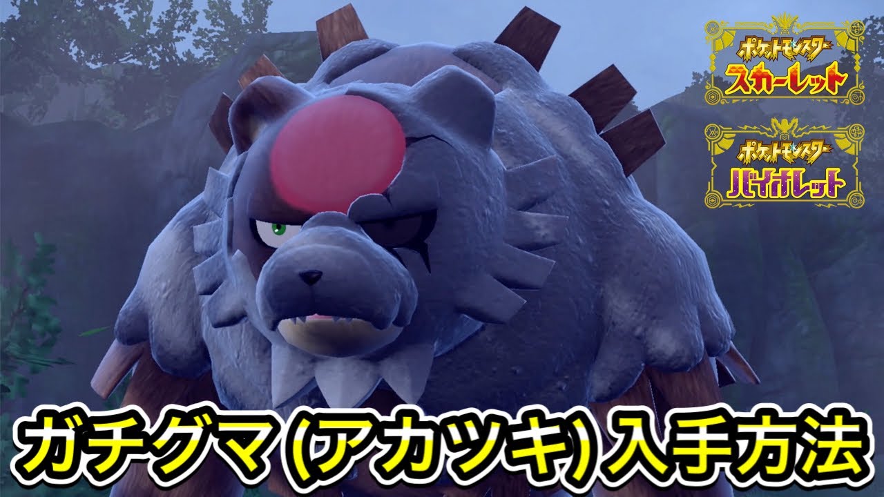 【ポケモンSV】ガチグマ(アカツキ)の入手方法！出現場所を教えます