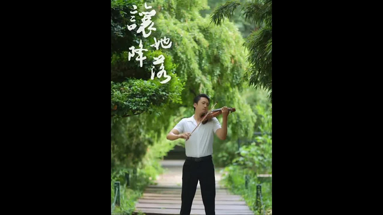 小提琴演奏violin performance#violin #music #tempo