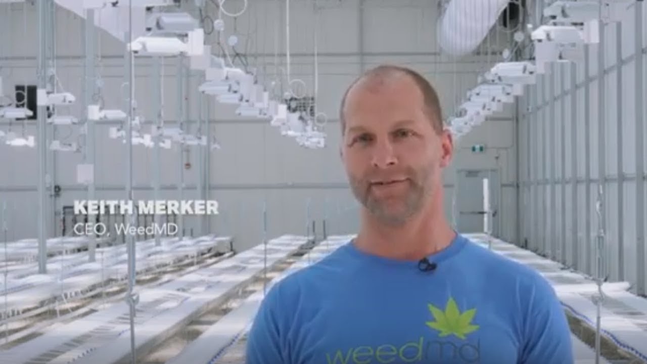 WeedMD Expands Cannabis Production at its Modern Greenhouse