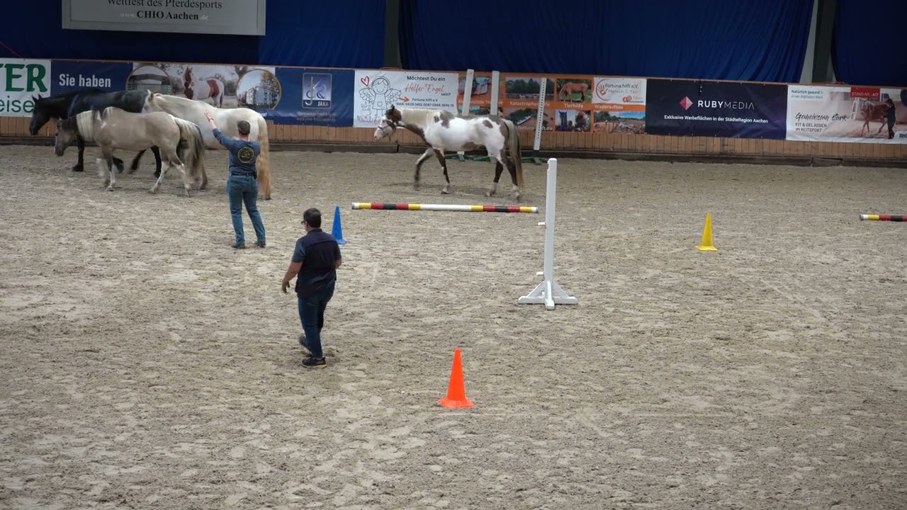 Hast Du schonmal von Horse Speak® gehört? | Live Kurs auf dem MMO 2024