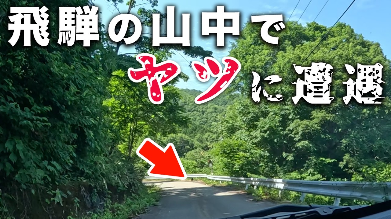 飛騨の大自然をドライブしたらヤツに遭遇しました【140,141/283】