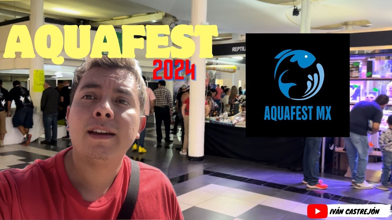AQUAFEST 2024 🐠