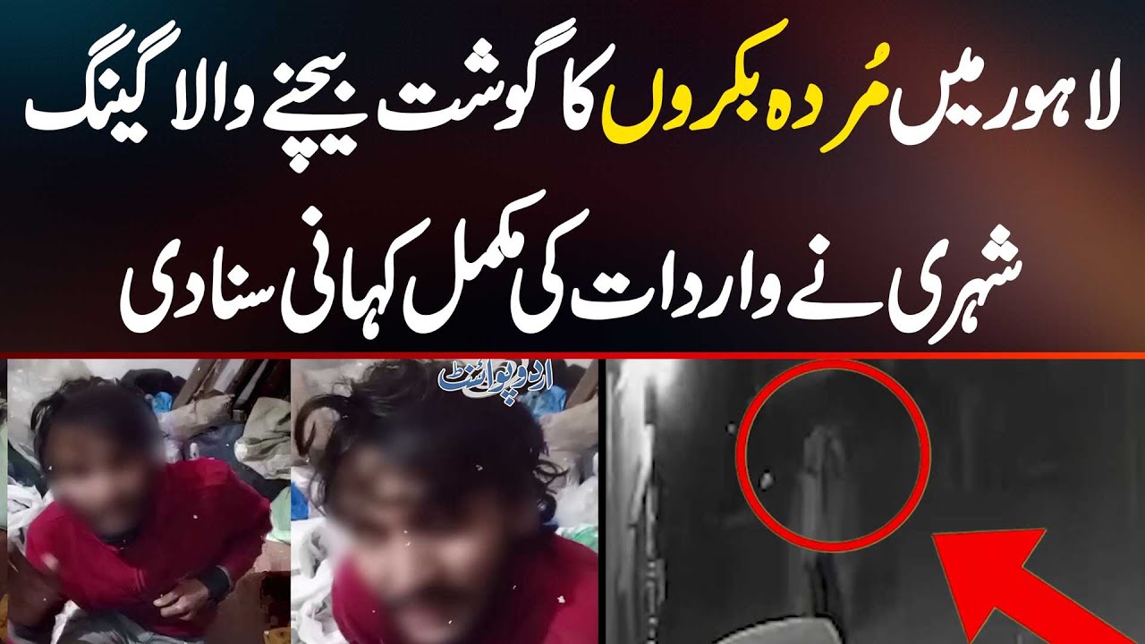 Lahore Dead Goat Meat Scandal: Gang Selling Dead Goats' Meat In Lahore - Citizen Told Complete Story