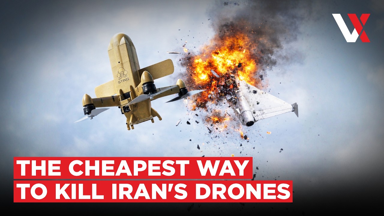 $2,000 Drone Kills $50,000 Shahed | Can Ukraine's STING Shield Gulf From Iranian Swarms? VERTEX