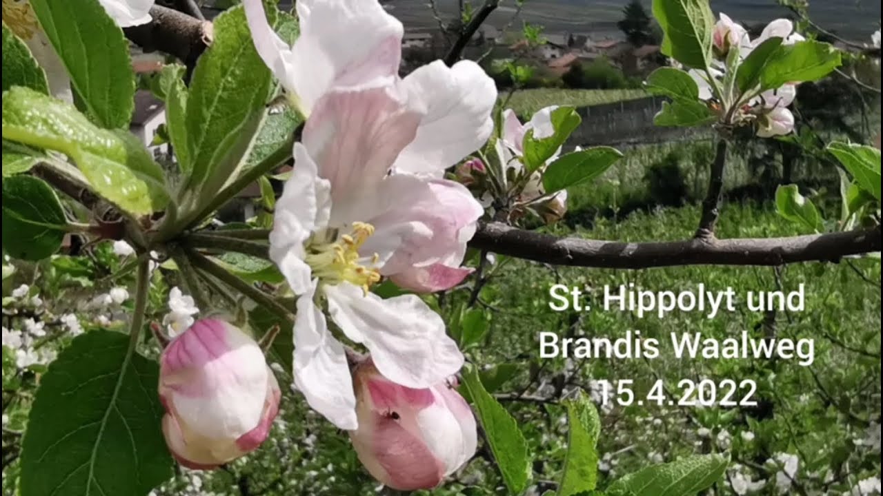 St. Hippolyt (Naraun) und Brandis Waalweg (Lana), Südtirol 15.4.2022