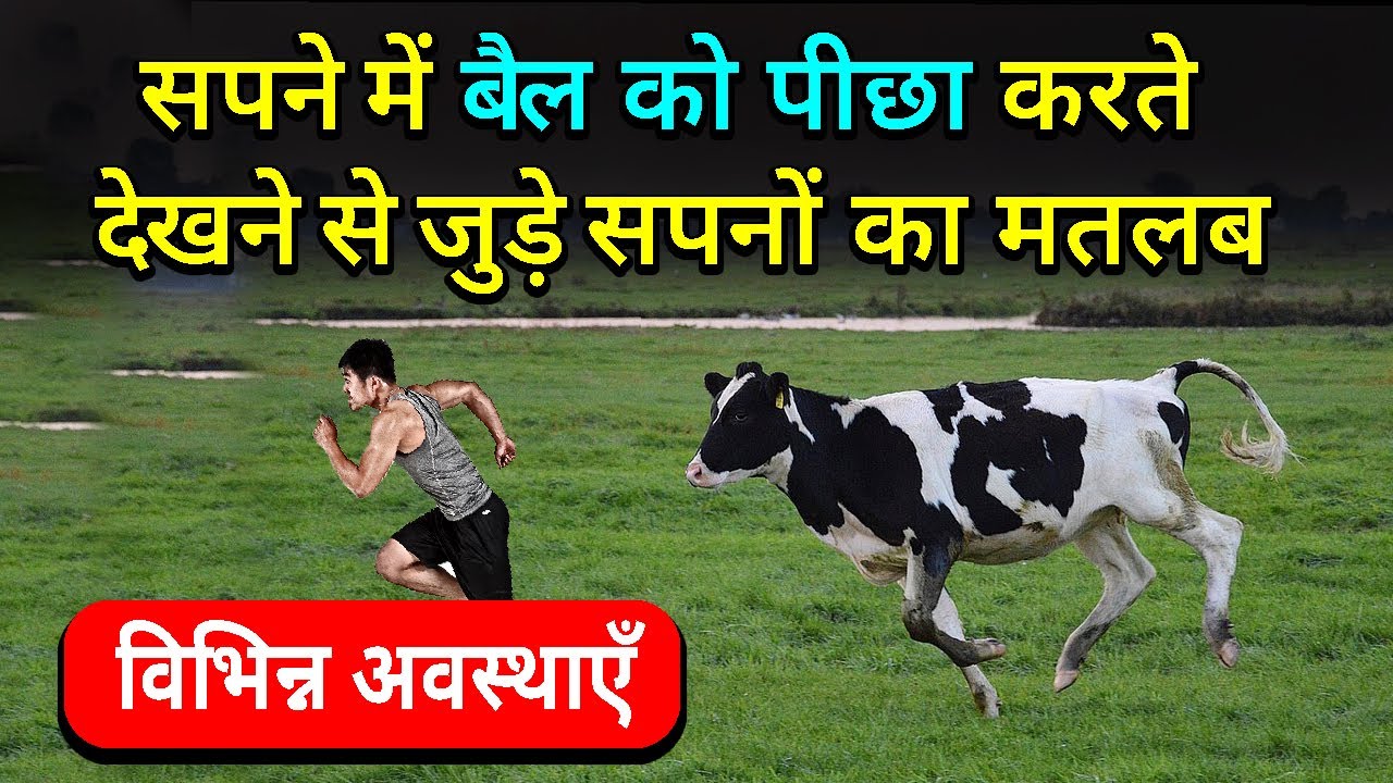 Sapne me Bail ka Piche Padna ya Takkar marne ke liye piche bhagna | Ox Chasing in Dream Meaning