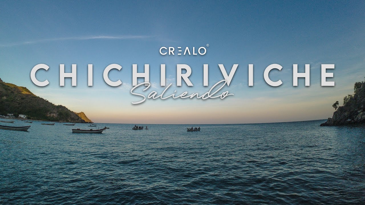 CHICHIRIVICHE DE LA COSTA - DESDE OTRA PERSPECTIVA
