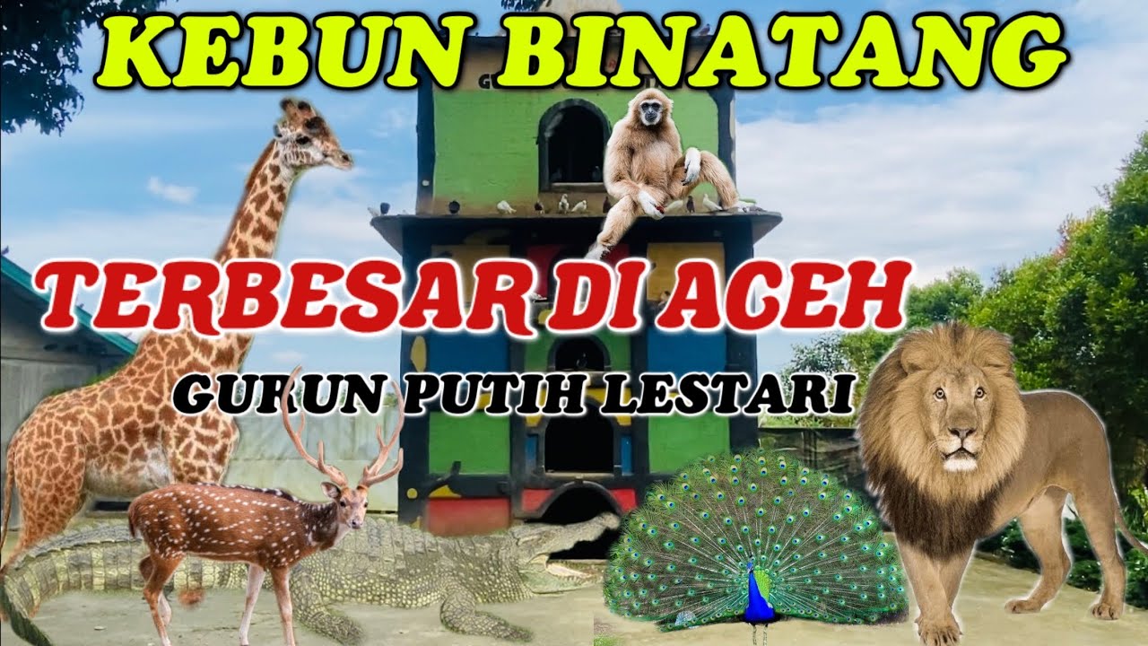 KEBUN BINATANG TERBESAR DI ACEH ‼️GURUN PASIR LESTARI
