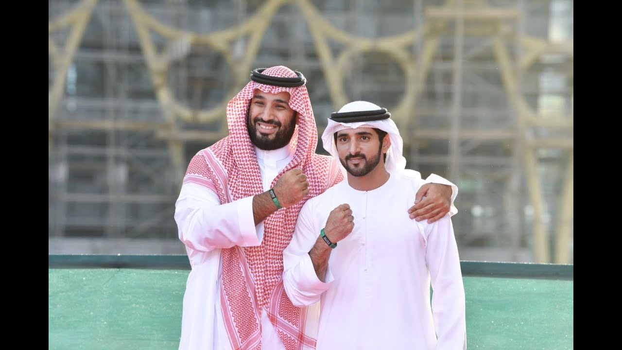 حمدان بن محمد ومحمد بن سلمان يزوران موقع 