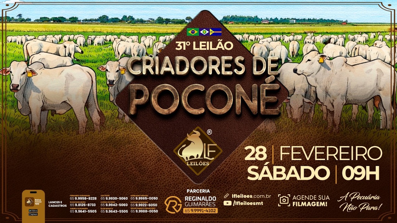 31º  Leilão Digital CRIADORES DE POCONÉ  28 02 2026 09:00 horas.