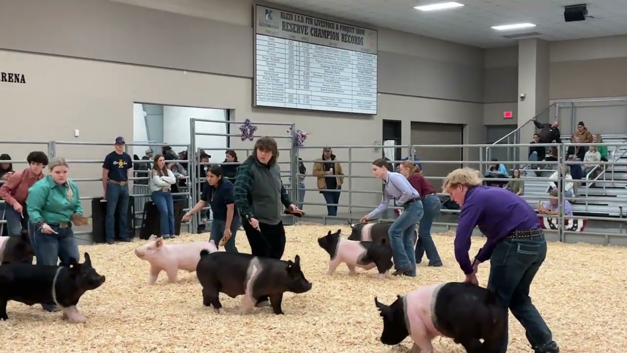 Klein Cain ffa star spangled showdown 2026