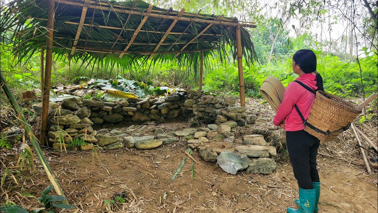 From a pile of rubble, the homeless girl renovated it into a cozy, simple, and bright shack.